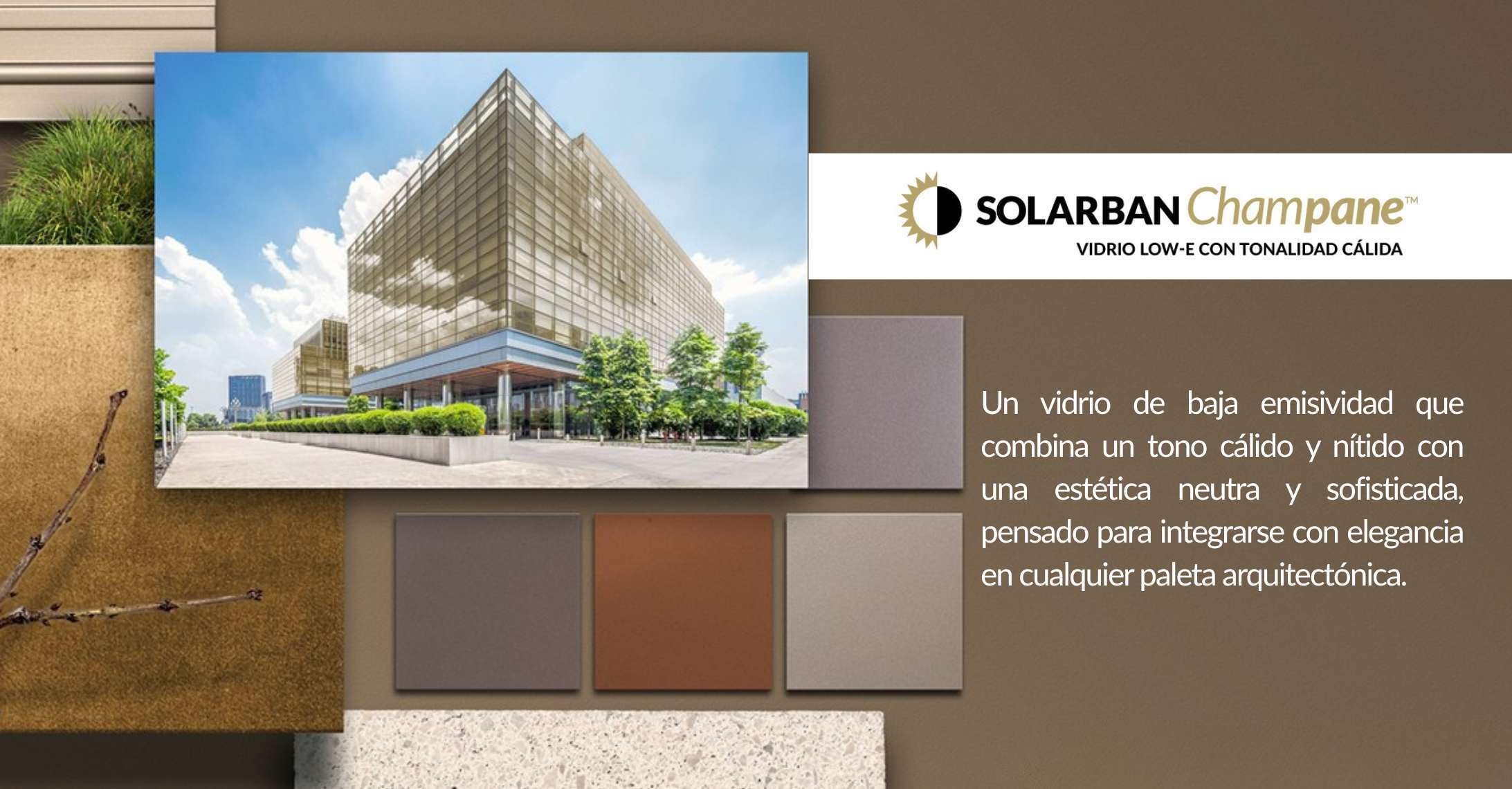 Slbchampane Banner 2026March